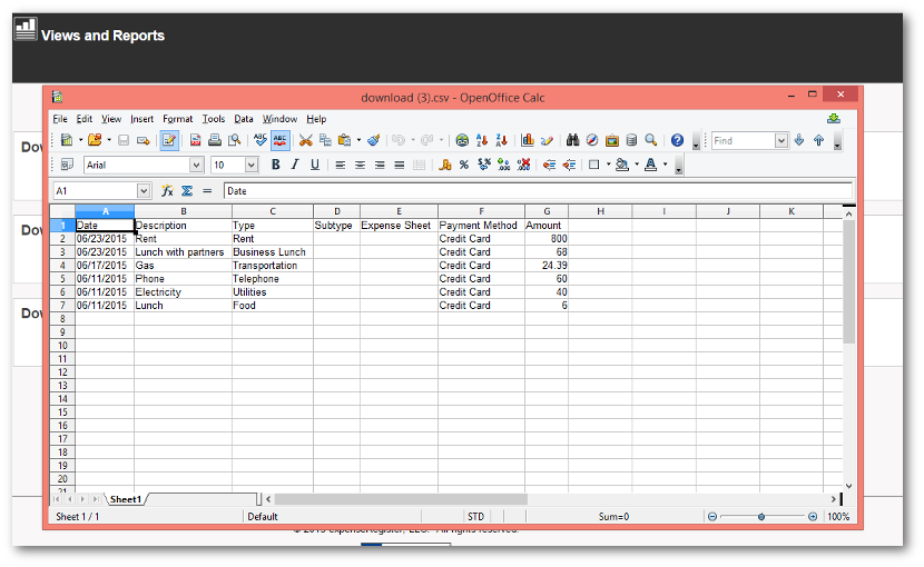 Expenses in a Spreadsheet