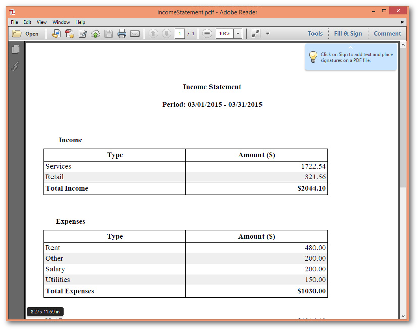 Income Statement PDF File
